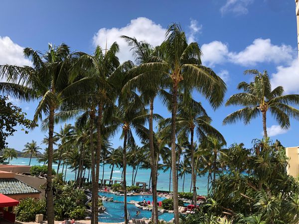 アメリカ(米国)・ハワイ「初ハワイ🐳」の写真