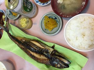 日本海に行くと魚ばっかり食べる