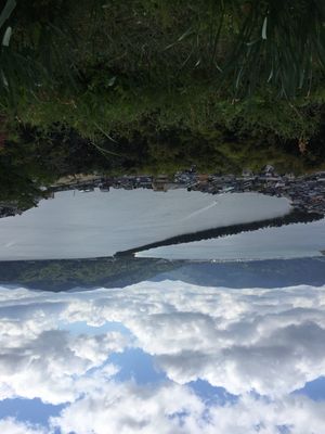 人生初の天橋立
