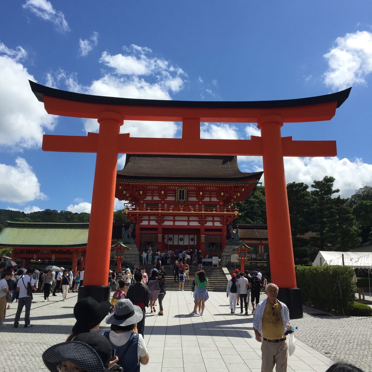 人生初伏見稲荷神社。
観光地価格の鰊蕎麦にびびる。