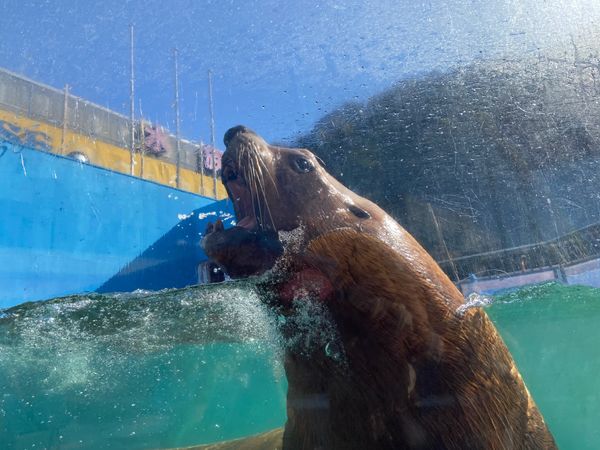 日本・三重県「二見シーパラダイス」の写真
