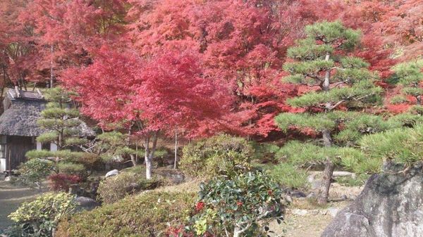日本・愛知県「香嵐渓」の写真