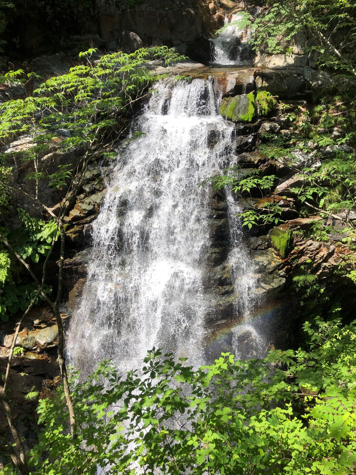 龍王峡の虹見の滝
レモン(猫)可愛かったなぁ
緑を見ながらお蕎麦