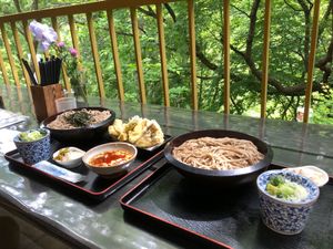 龍王峡の虹見の滝
レモン(猫)可愛かったなぁ
緑を見ながらお蕎麦