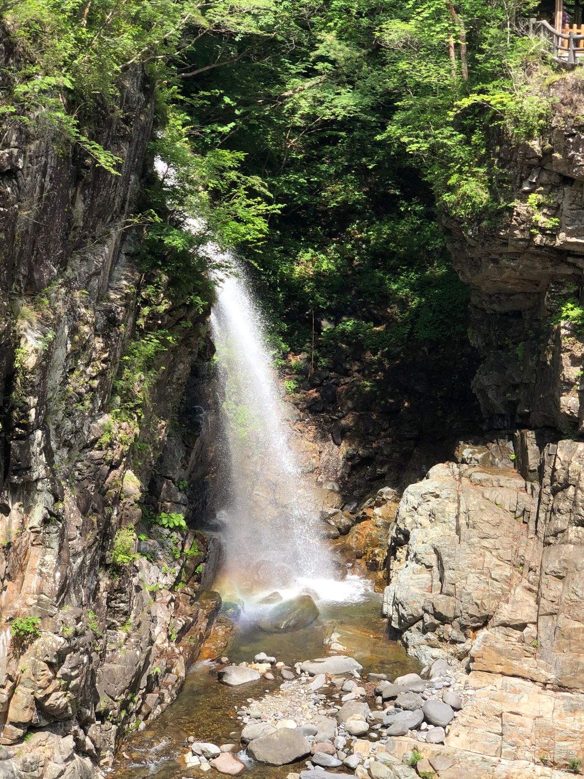 龍王峡の虹見の滝
レモン(猫)可愛かったなぁ
緑を見ながらお蕎麦