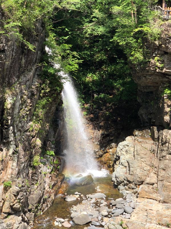 日本・栃木「界　川治」の写真：龍王峡の虹見の滝
レモン(猫)可愛かった...