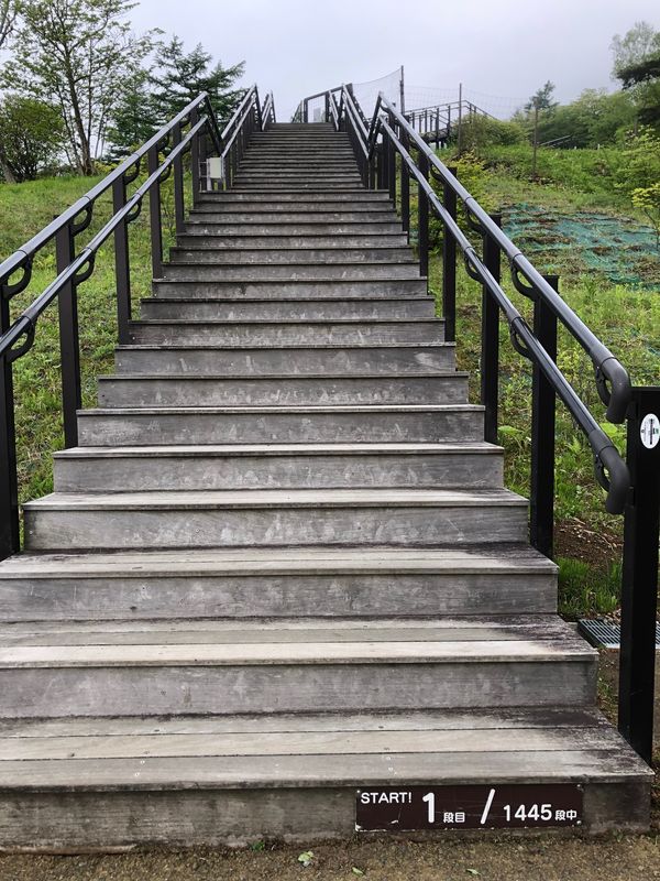 日本・栃木「界　川治」の写真：霧降高原
小丸山展望台
1445段の階段

