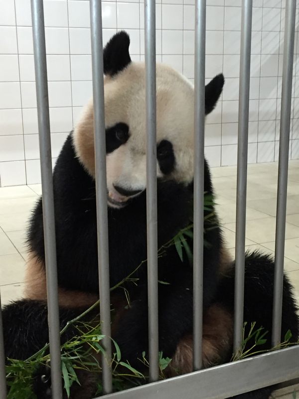 日本・和歌山県「和歌山旅行」の写真