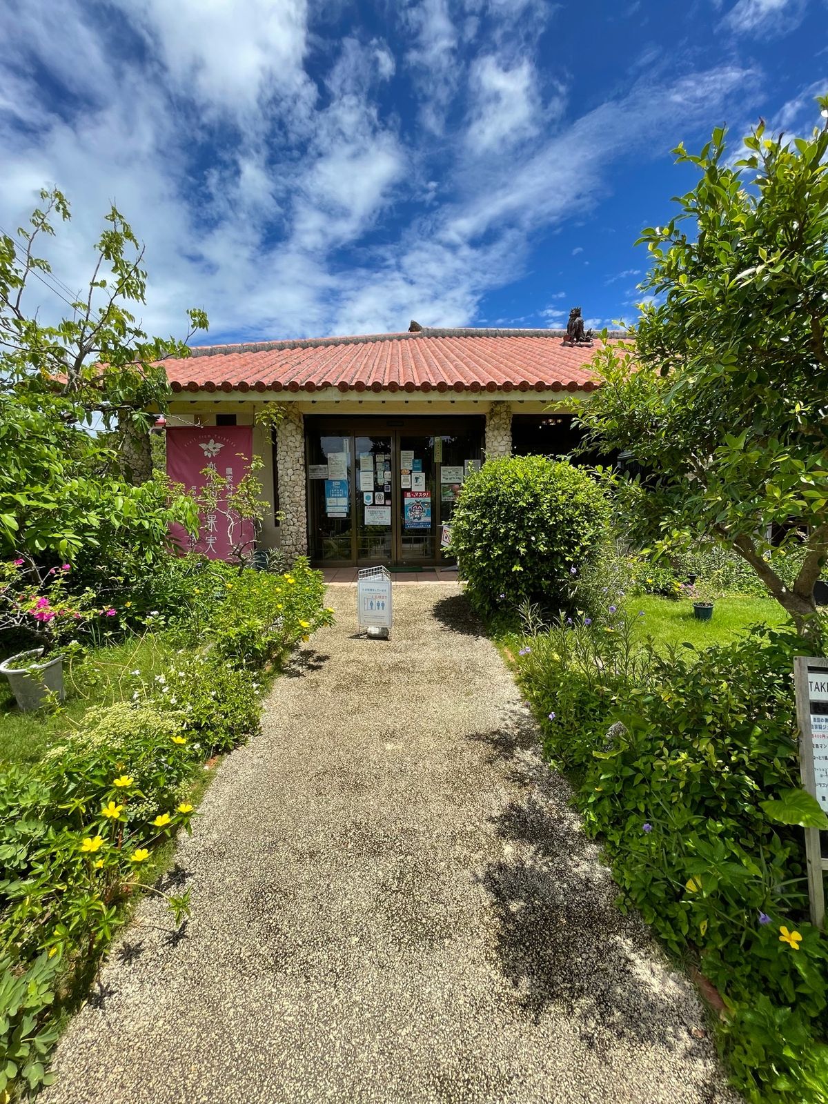 来間島「農家れすとらん 楽園の果実」

マンゴー🥭を食べまくる！
お昼ご飯...