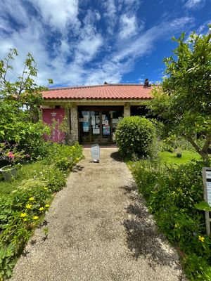 来間島「農家れすとらん 楽園の果実」

マンゴー🥭を食べまくる！
お昼ご飯...