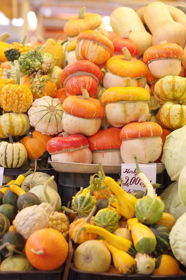 ラトビア・リガ「Baltic Countries」の写真