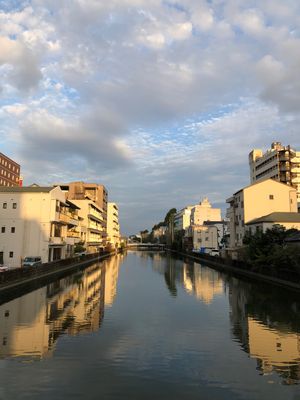 ひろめ市場はやいろ亭と珍味堂がお気に入り

廿代橋
のれそれと虎杖の炒め物...