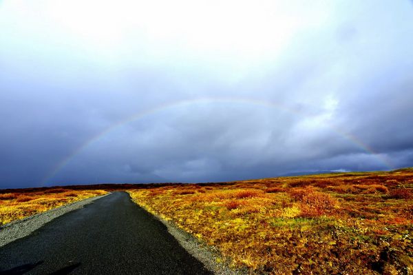 アイスランド・レイキャビック「Iceland 」の写真