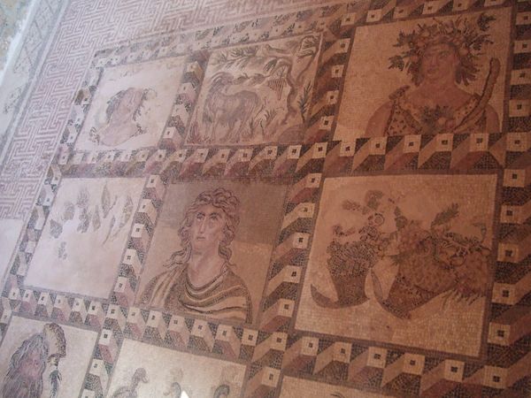 キプロス・パフォス「キプロス」の写真：パフォスのモザイク