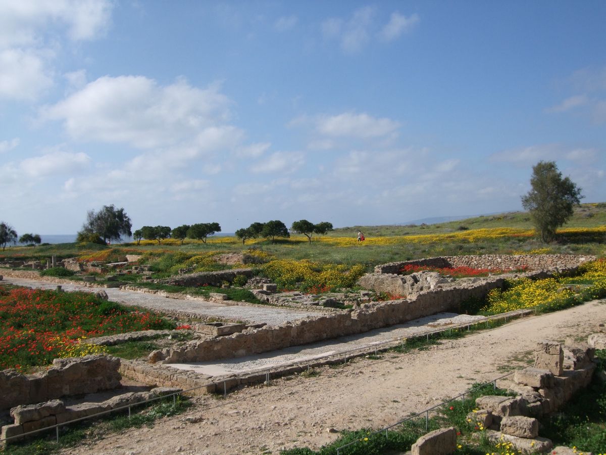 パフォス　考古学遺跡公園　古代のモザイク芸術がいくつも残っている