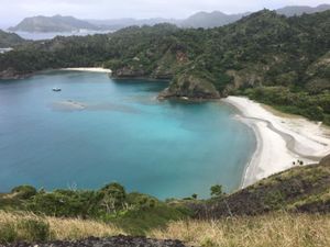島遊び
ホエールウォッチングに父島周遊