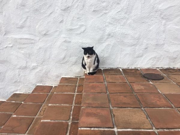 日本・三重県「志摩旅行」の写真：志摩地中海村かなり良い