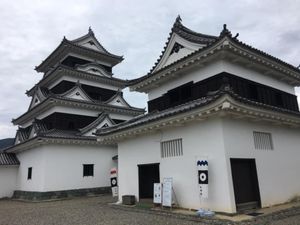 愛媛城巡り
宇和島城、大洲城、松山城、今治城