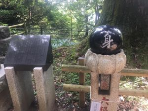 高尾山登山