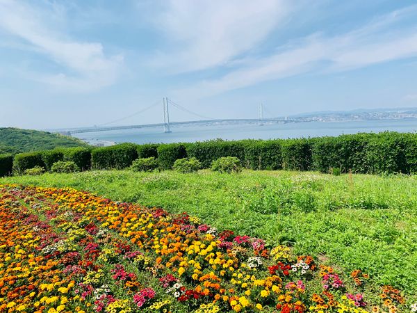 日本・淡路島「淡路島」の写真