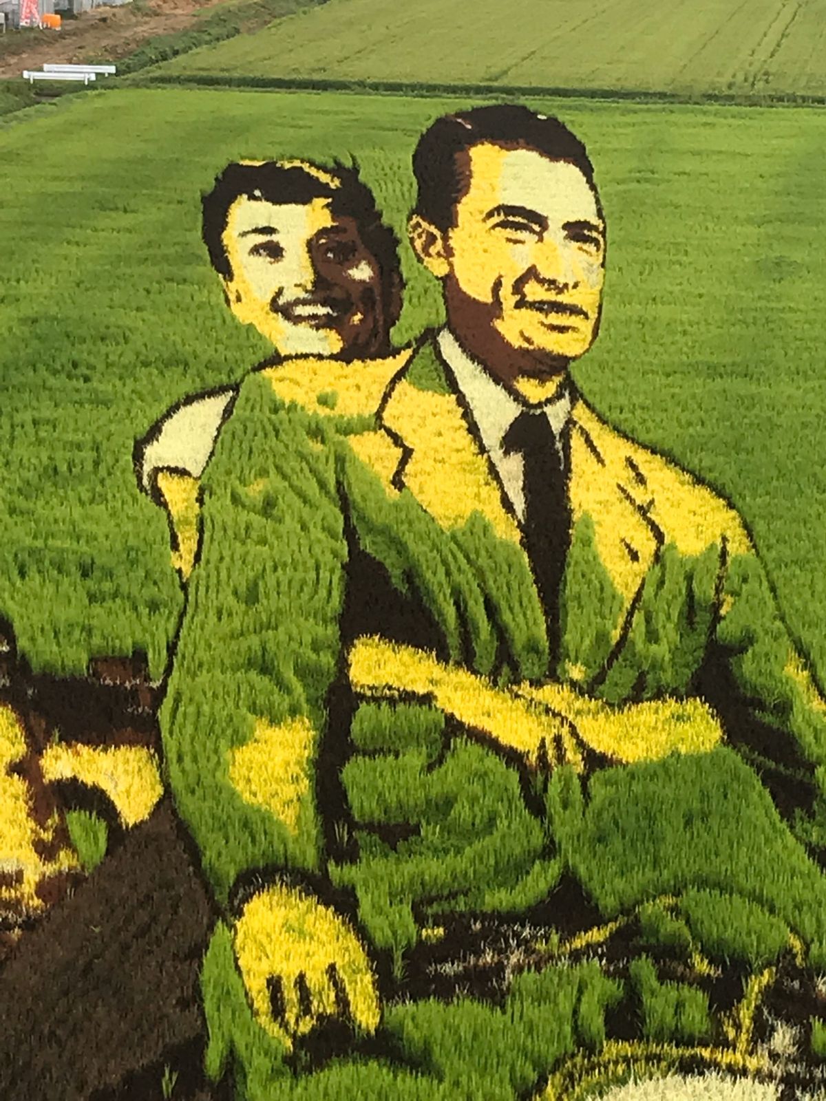 また見に行きたいです。