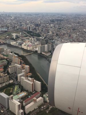 那覇日帰JGC修行
沖縄そば2杯食べて戻る