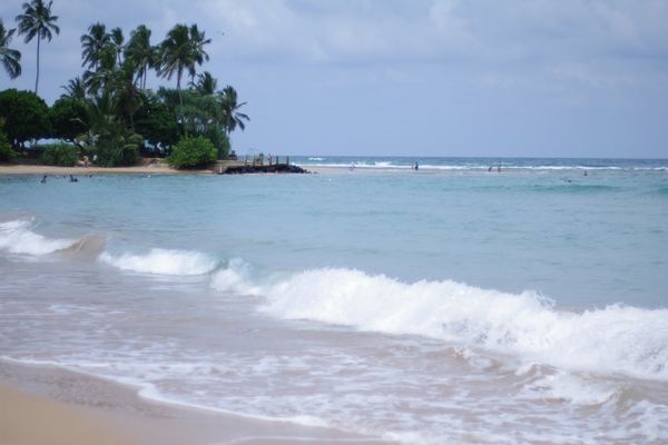 スリランカ・コロンボ「Sri Lanka 」の写真