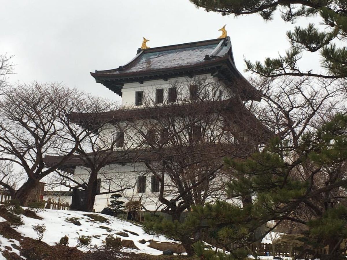 城巡りは五稜郭と松前城