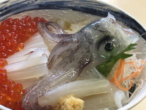 日本・北海道「函館旅行」の写真：到着すぐにどんぶり横丁