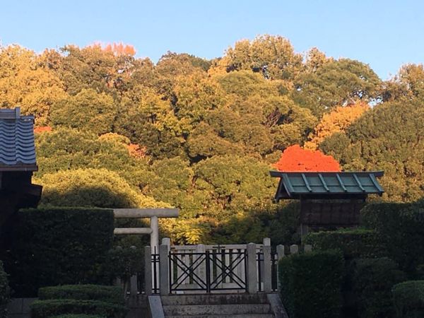 日本「古墳巡り」の写真：世界遺産古墳巡り