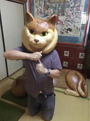 猫寺雲林寺でネコ遊び