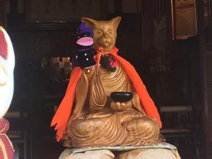 猫寺雲林寺でネコ遊び