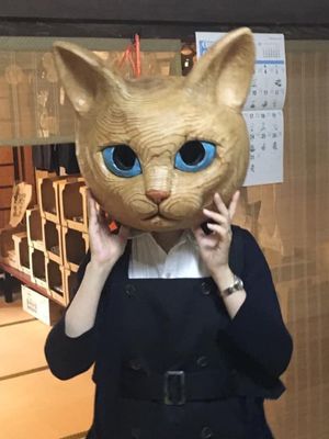 猫寺雲林寺でネコ遊び