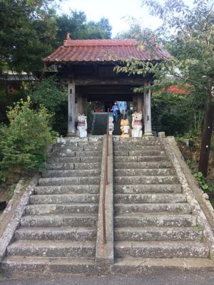 猫寺雲林寺でネコ遊び
