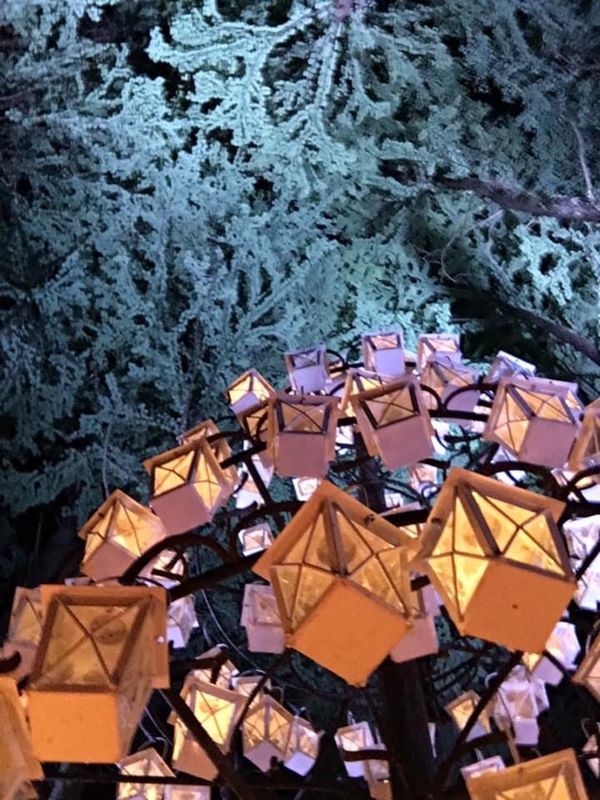 日本・長野県「軽井沢高原協会」の写真：綺麗すぎです