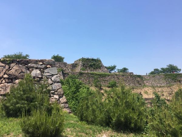 日本・竹田城跡「北兵庫の旅」の写真：城は竹田城と篠山城