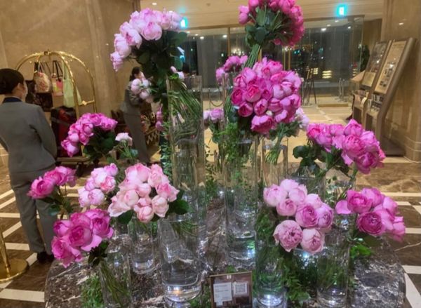 日本・神奈川県「魅惑の中華街」の写真