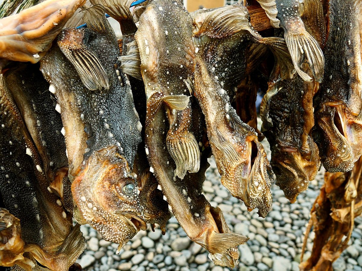 田舎のほうでたまたま泊まった宿のオーナーが本も出版してる料理研究家で、食事...