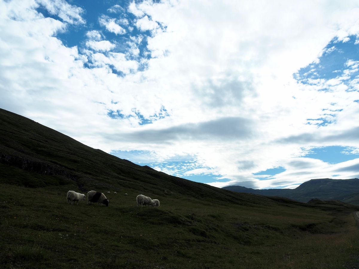 アイスランド東海岸にて

フィヨルドの広がる湾に小さな街が点在してて美しい...