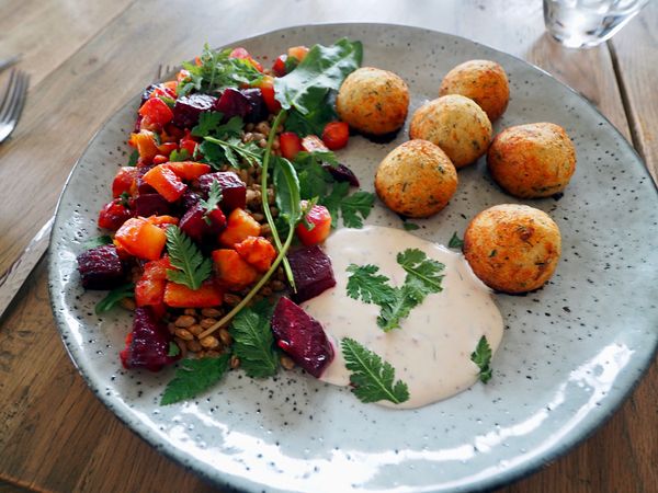 アイスランド・レイキャビク「アイスランド 自然満喫ドライブ一周旅行」の写真：田舎のほうでたまたま泊まった宿のオーナー...