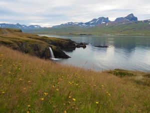 パフィンの訪れる海岸にて
アイスランドを代表する鳥パフィン。
その表情や魚...