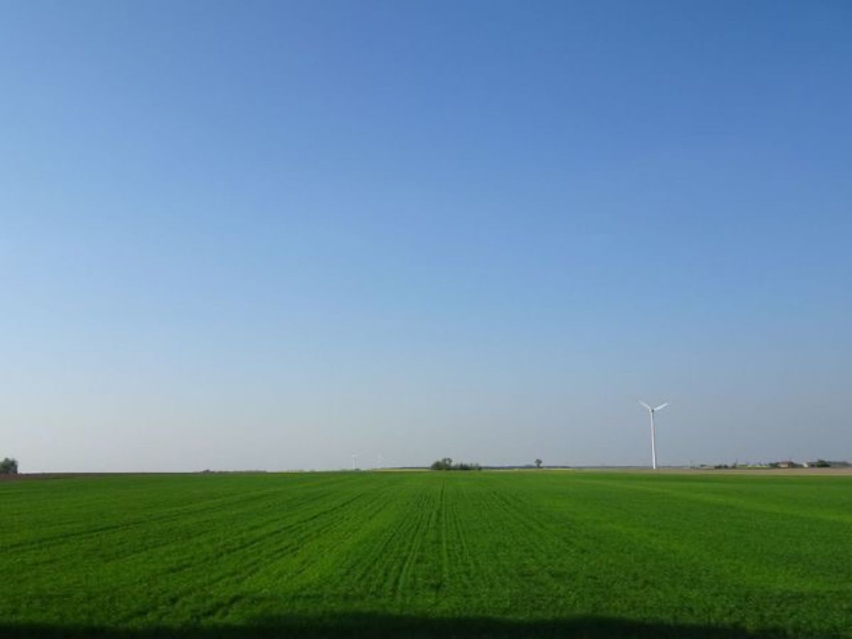 1枚目はポーランド国内移動中の景色、2枚目は菜の花の景色、3枚目は聖十字架...