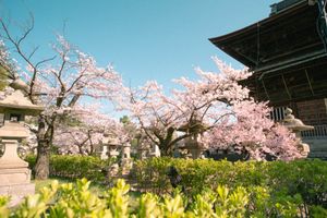 初日

東京→長野（新幹線）
善光寺に直行して桜を堪能🌸
長野駅まで歩いて...