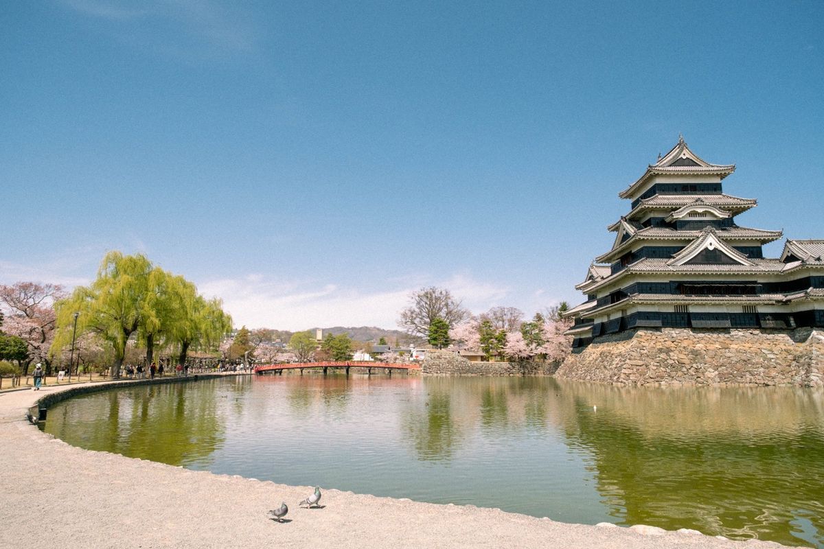 2日目

特急しなので移動（長野→松本）

松本城でのんびり🏯
松本駅に戻...