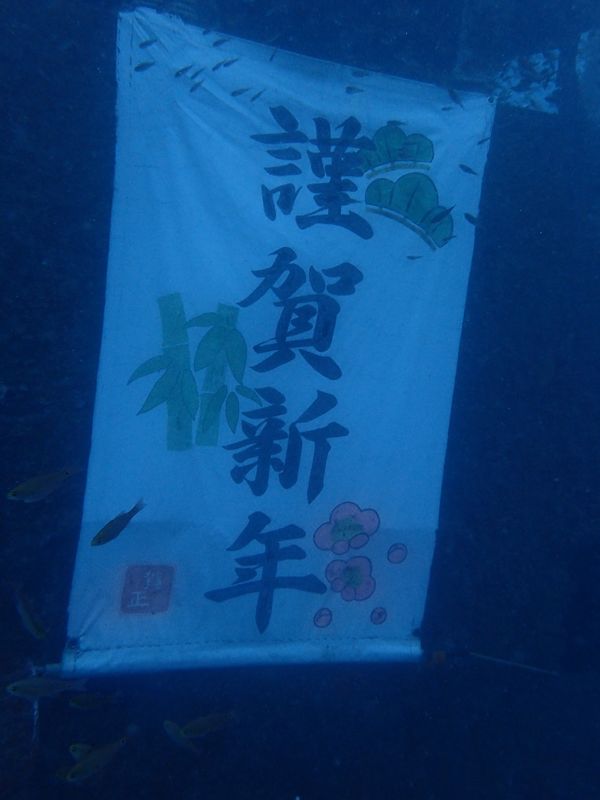 「和歌山サファリー車」の写真