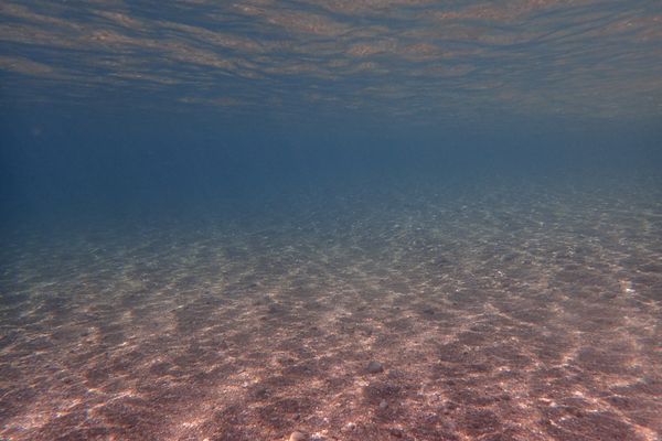 日本・和歌山県「もぉええか。。白浜パート5🐼」の写真