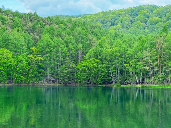 日本・長野県「【長野観光】御射鹿池」の写真