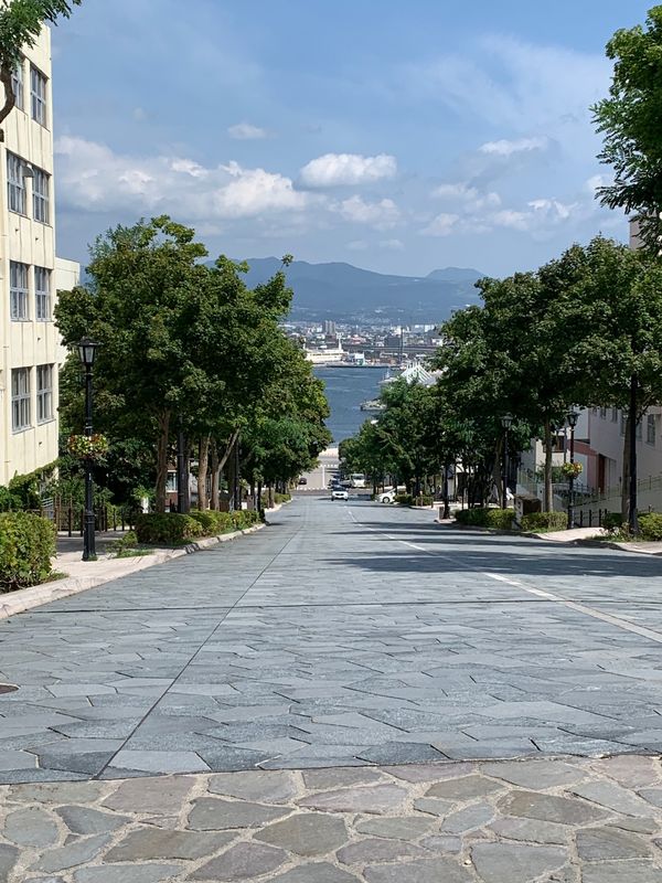 日本・函館「○○年ぶりの北海道」の写真：八幡坂からのお約束のpic。
絶対行きた...