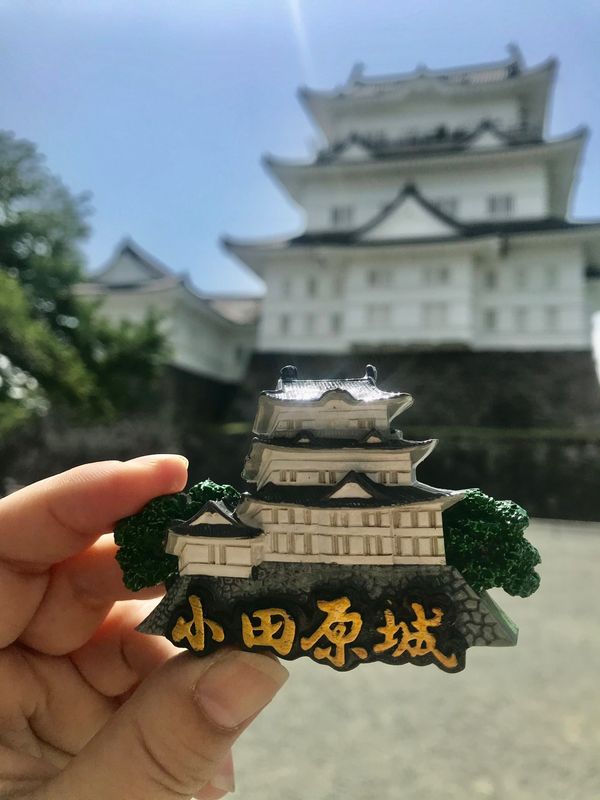 日本・神奈川県「真鶴漁港でお魚ランチ」の写真