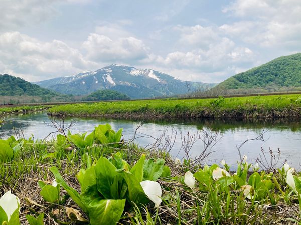 日本・尾瀬ヶ原「尾瀬ハイキング」の写真